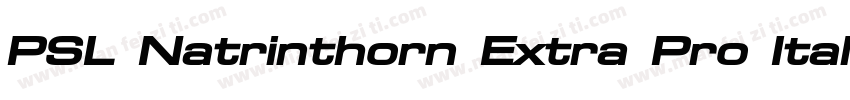 PSL Natrinthorn Extra Pro Italic字体转换